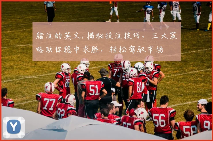 赌注的英文,揭秘投注技巧，三大策略助你稳中求胜，轻松驾驭市场