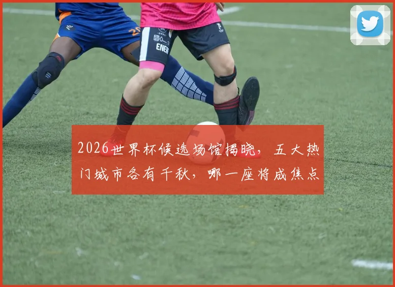 2026世界杯候选场馆揭晓，五大热门城市各有千秋，哪一座将成焦点