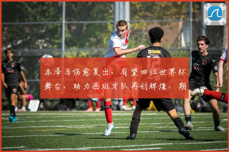 本泽马伤愈复出，有望回归世界杯舞台，助力西班牙队再创辉煌，期待表现