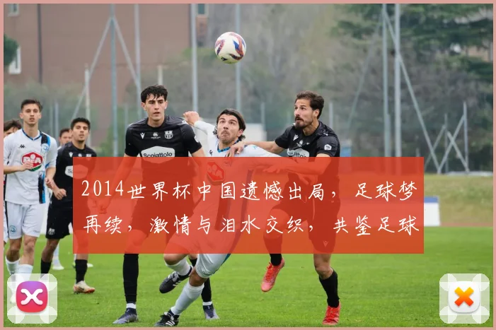 2014世界杯中国遗憾出局，足球梦再续，激情与泪水交织，共鉴足球盛宴