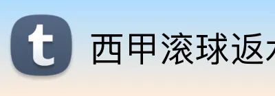西甲滚球返水 Logo